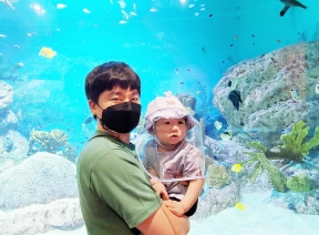 도박 사이트