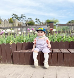 도박 사이트