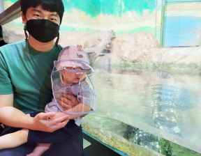 도박 사이트