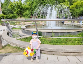 도박 사이트