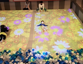 도박 사이트