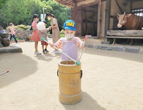 도박 사이트