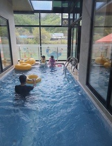 도박 사이트