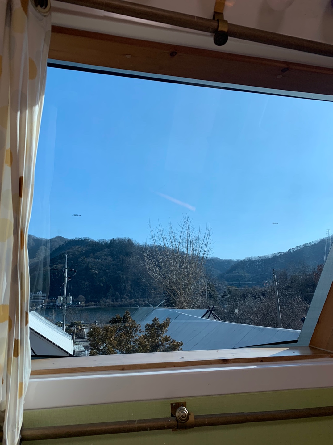 도박 사이트