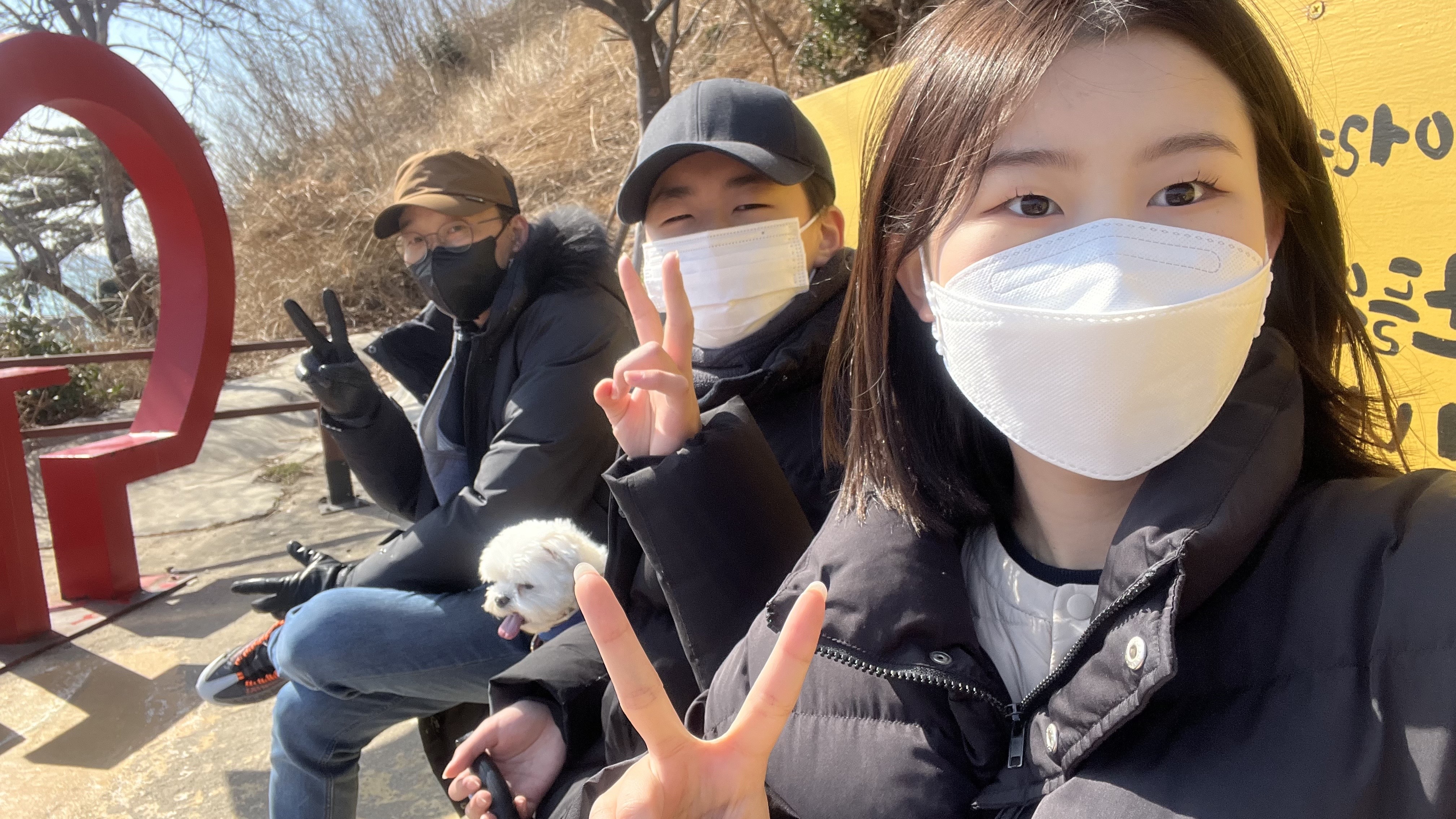도박 사이트