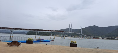도박 사이트