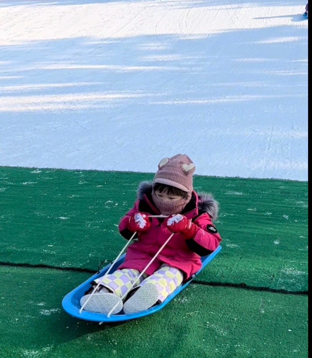 도박 사이트