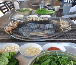 도박 사이트