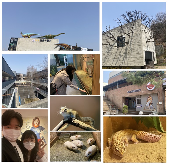 도박 사이트