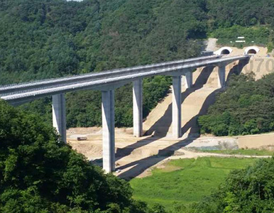 도박 사이트