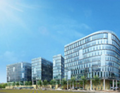 도박 사이트